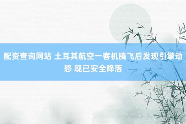 配资查询网站 土耳其航空一客机腾飞后发现引擎动怒 现已安全降落