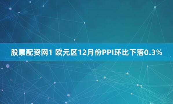 股票配资网1 欧元区12月份PPI环比下落0.3%