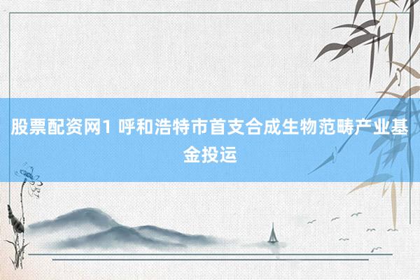 股票配资网1 呼和浩特市首支合成生物范畴产业基金投运