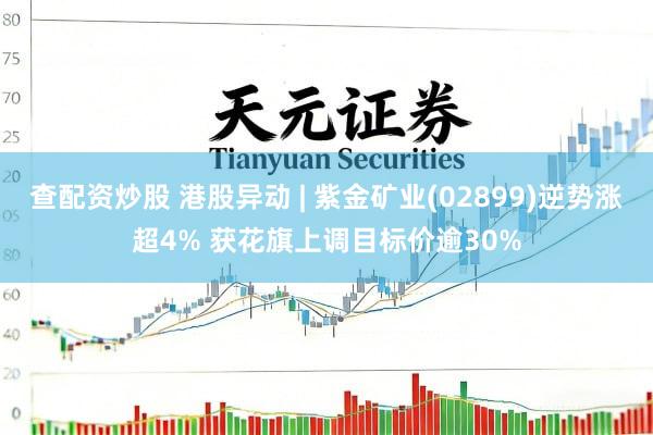 查配资炒股 港股异动 | 紫金矿业(02899)逆势涨超4% 获花旗上调目标价逾30%