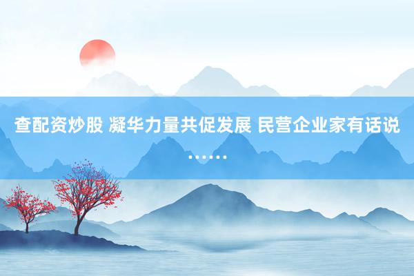查配资炒股 凝华力量共促发展 民营企业家有话说……