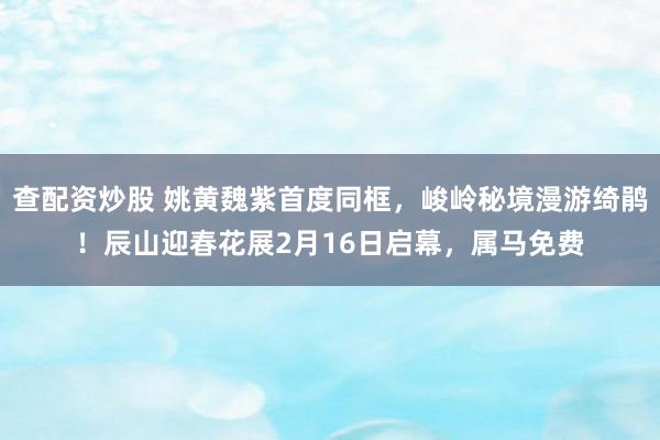 查配资炒股 姚黄魏紫首度同框，峻岭秘境漫游绮鹃！辰山迎春花展2月16日启幕，属马免费