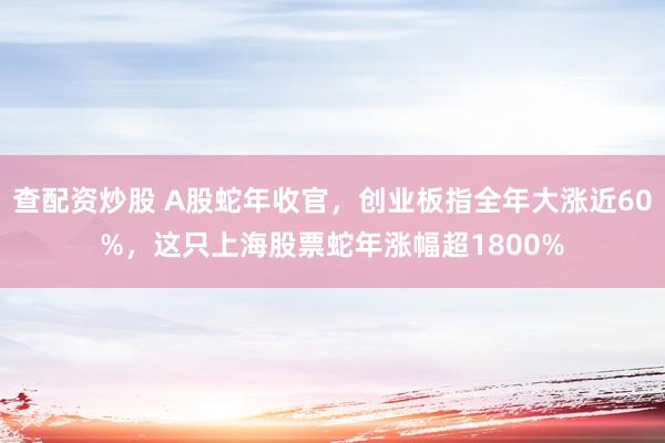 查配资炒股 A股蛇年收官，创业板指全年大涨近60%，这只上海股票蛇年涨幅超1800%