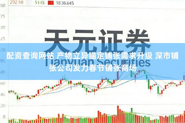 配资查询网站 产物立异锚定铺张需求升级 深市铺张公司发力春节铺张商场