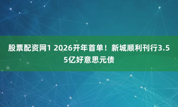 股票配资网1 2026开年首单！新城顺利刊行3.55亿好意思元债